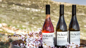A display of wines from Israel's Psagot Winery, which is at the center of a European court ruling on labeling of Israeli products from beyond the pre-1967 Green Line. Source: Psagot Winery. 